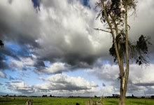 克罗地亚红白格子军团，主场奏凯，继续领跑！