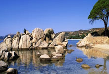 跌宕起伏的绿茵征程：天津泰达主场憾平，追赶脚步从未停歇！