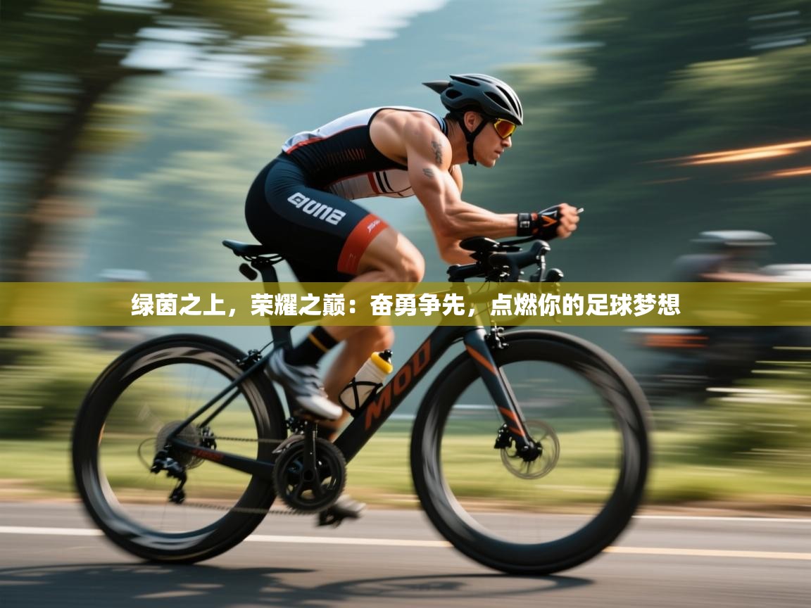 绿茵之上，荣耀之巅：奋勇争先，点燃你的足球梦想